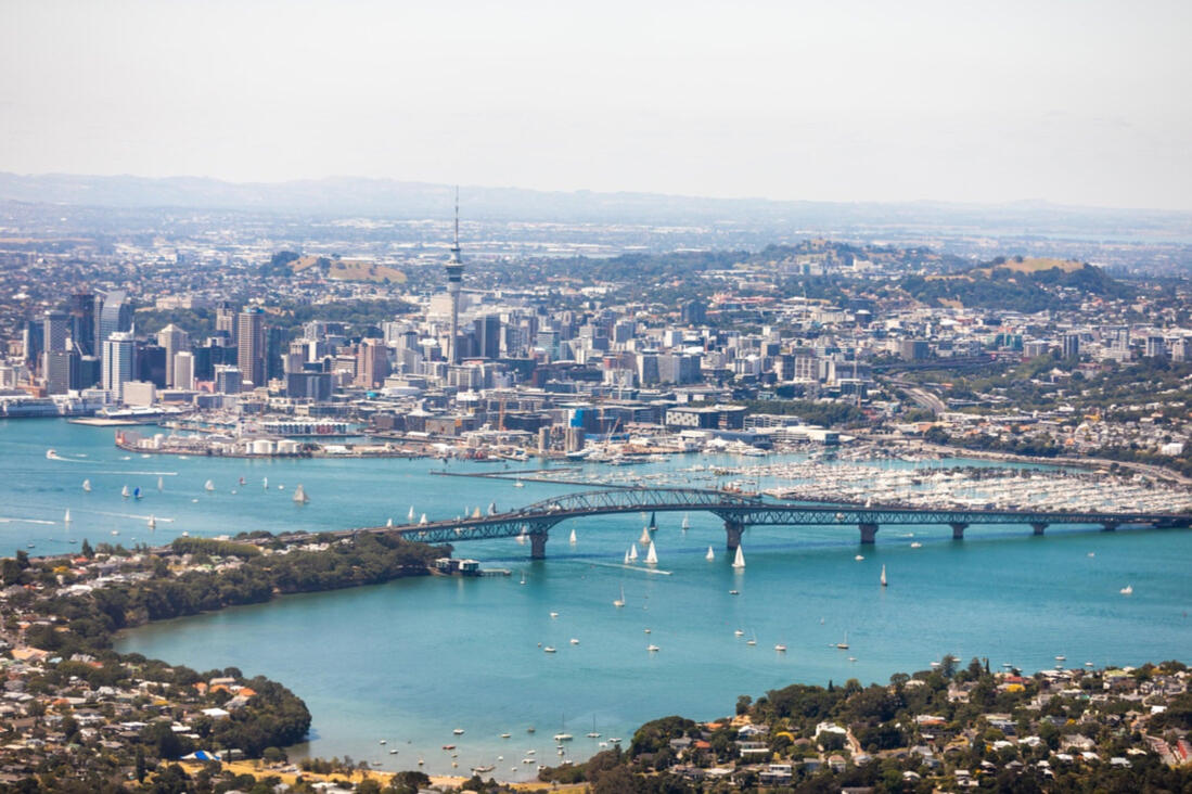 Carrd profile picture for @auckland